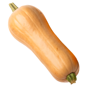 Gamberge